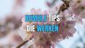 bumble tips