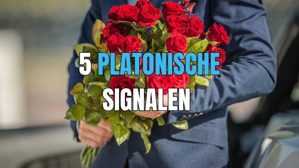 friendzone signalen