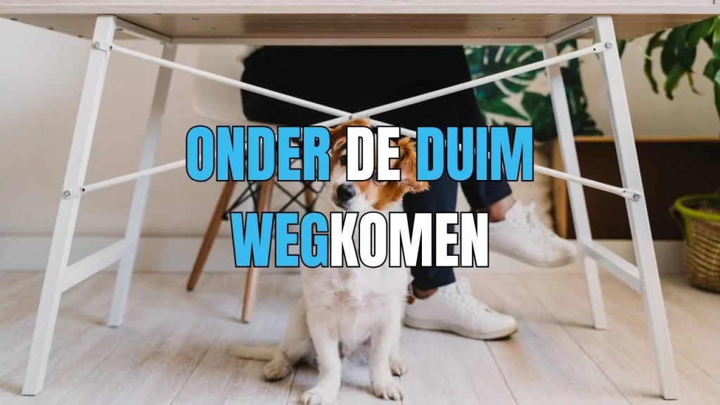 onder de plak zitten